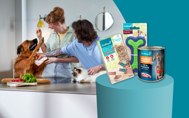 REWE Kassenbon Gewinnspiel mit ZooRoyal